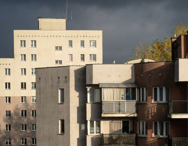 Miniatura: Kurator dla spółdzielni. Związek rewizyjny...