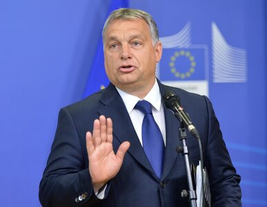 Miniatura: Orban o propozycji budżetu unijnego....