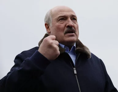 Miniatura: Konsul miała doradzać obywatelowi Polski...