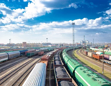 Miniatura: Rosyjski polityk grozi Litwie z powodu...