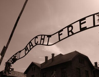 Miniatura: Europejski list gończy za napis z Auschwitz