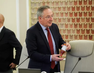 Miniatura: Co dalej z Instytutem Adama Mickiewicza?...