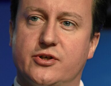 Miniatura: Cameron: Wielka Brytania może być...