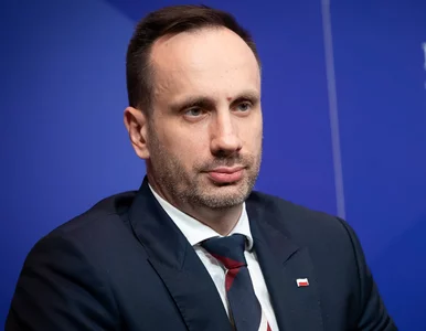 Miniatura: Janusz Kowalski oburzony kolorowymi...