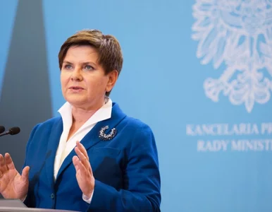 Miniatura: Szydło o „dużym kroku” w...