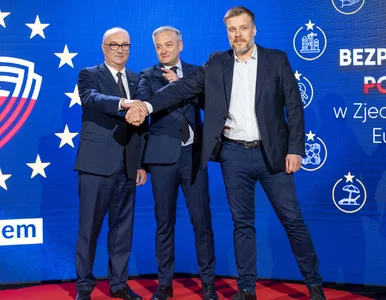 Miniatura: Z propozycją dopłat do AGD, ale bez Tuska....