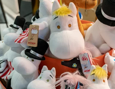 Miniatura: Pierwszy muminkowy sklep w Polsce. To hit...