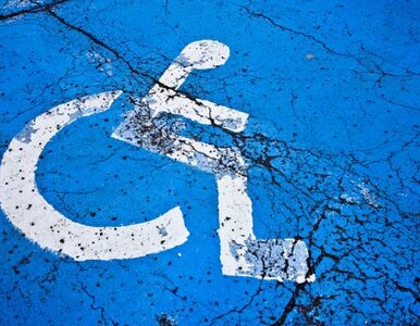 Miniatura: Czy niepełnosprawny zawsze jest niezdolny...