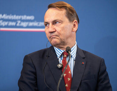 Miniatura: Sikorski zaczepił Nawrockiego....