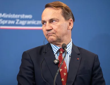 Miniatura: Sikorski zaczepił Nawrockiego....
