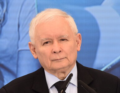 Miniatura: Jarosław Kaczyński odpowiada szefowi...