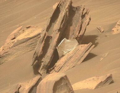 Zaskakujący szczegół na zdjęciu z Marsa. Naukowcy zaniepokojeni