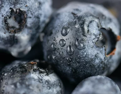 Miniatura: Jem codziennie garść tych owoców. Po kilku...