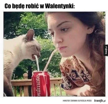Mem na Dzień Singla 