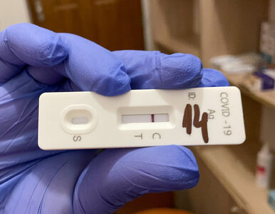 Miniatura: 64 tysiące testów antygenowych trafiło do...