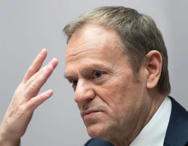 Miniatura: Tusk wybuchł po antyukraińskim haśle: To...