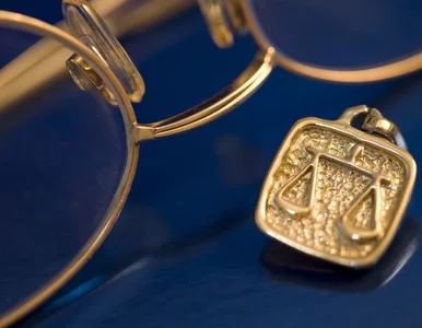 Miniatura: Dlaczego procesy trwają dziesięć lat?