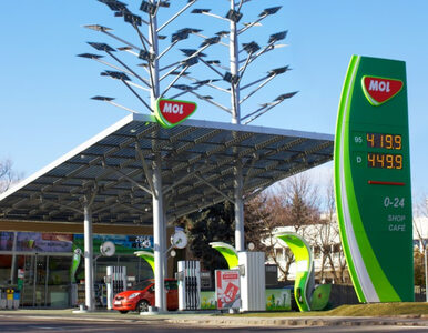 Miniatura: Węgry wprowadzają maksymalne ceny benzyny....