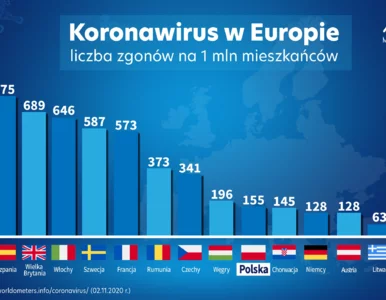 Miniatura: Błąd na grafice MZ. „Kto to sprawdza...