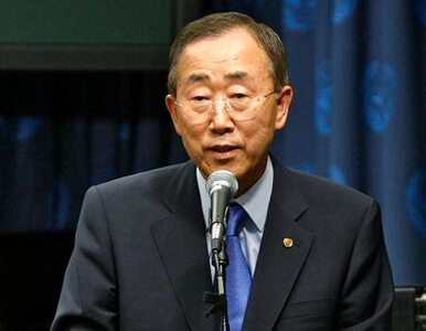 Miniatura: ONZ popiera utworzenie sił do walki z Boko...