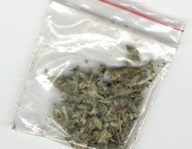 Miniatura: Narkotyki nie trafią na lubelskie ulice