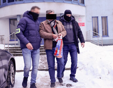 Miniatura: Afera w NATO. Łapówki, romanse i...