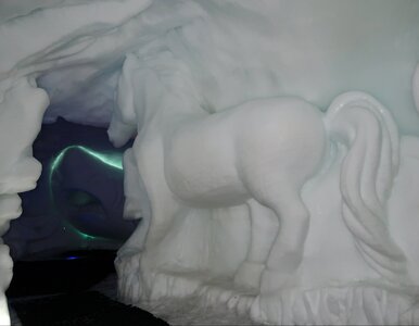 Miniatura: Ta atrakcja będzie hitem ferii. Labirynty...