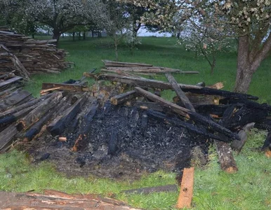 Miniatura: 36-latek seryjnym podpalaczem? Straty...