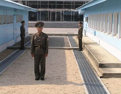 Miniatura: Łodzią uciekli z Korei Północnej