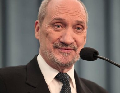 Miniatura: Macierewicz: mamy dowód na eksplozję w...