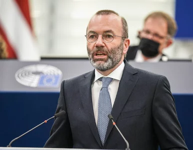 Miniatura: Manfred Weber wspomniał o Donaldzie Tusku...