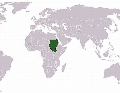 Miniatura: Nawet 40 tys. Sudańczyków uciekło z Abyei