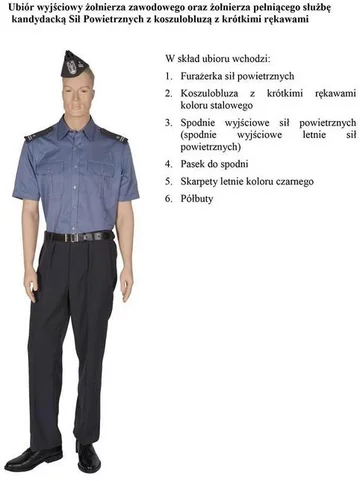 fot. MON/Polska-Zbrojna.pl