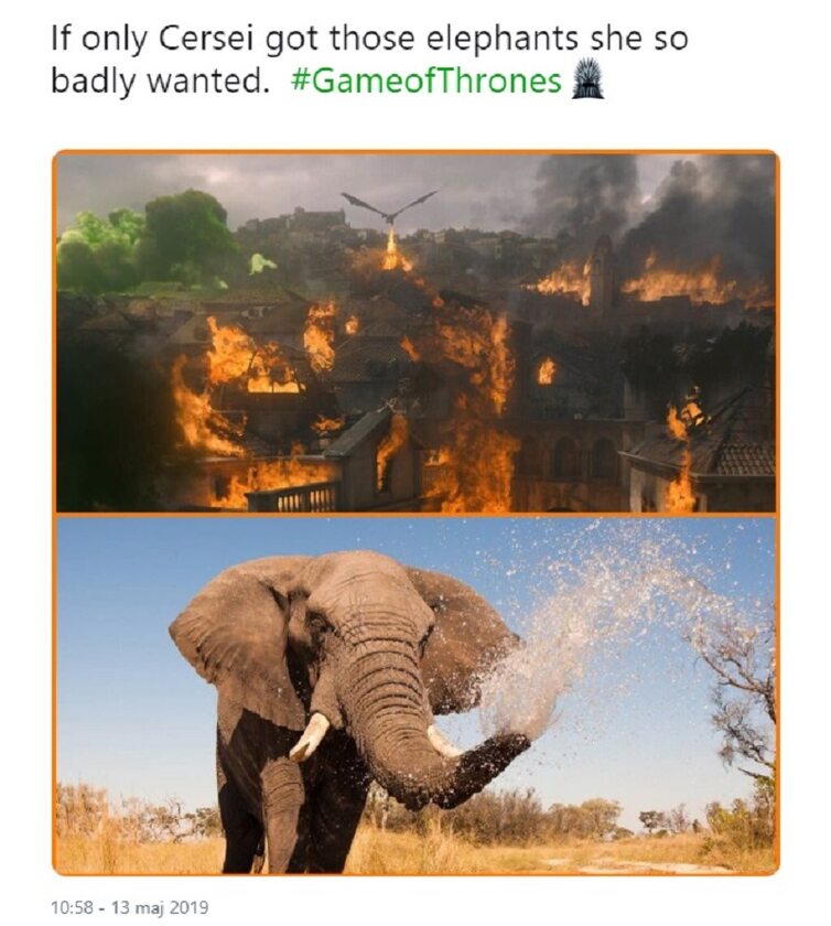 Gdyby tylko Cersei miała słonie... 