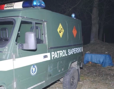 Miniatura: Dwa ćwierćtonowe niewybuchy na budowie w...