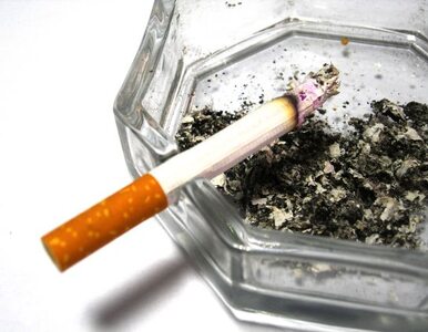 Miniatura: Senat odrzucił zakaz palenia w miejscach...