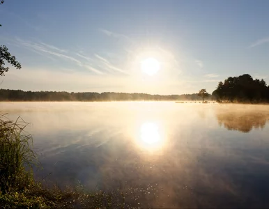 Miniatura: „Małe Mazury” na Mazowszu. To najczystsze...