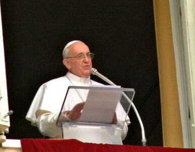 Miniatura: Papież Franciszek nieoficjalnie popierał...