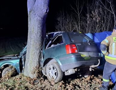 Miniatura: Tragedia w Lubelskiem. Nie żyje 39-latka,...