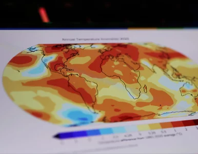 Miniatura: Niepokojące dane. Naukowcy od 12 miesięcy...