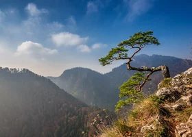 Miniatura: QUIZ z geografii Polski. Na te pytania...