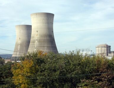 Miniatura: Chińczycy zbudują elektrownię atomową na...