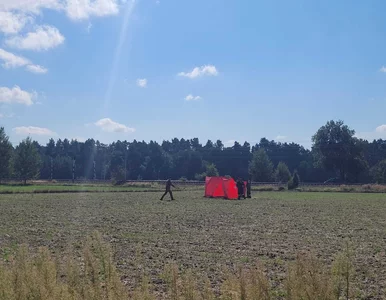 Miniatura: Atak dronów połączono z wielką kampanią...