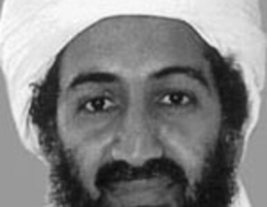 Miniatura: Nie żyje syn Osamy bin Ladena