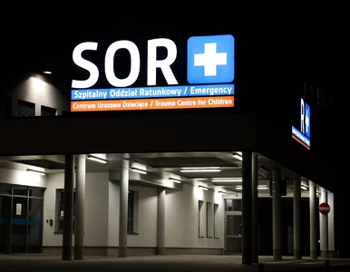 Miniatura: 50 tys. zł kary za nieuzasadnioną wizytę...