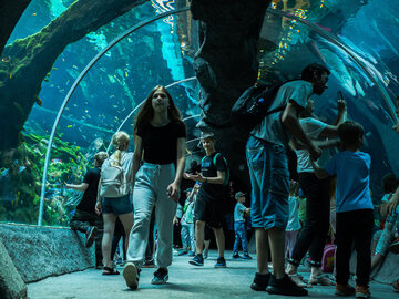 Tłum turyst&oacute;w w ł&oacute;dzkim orientarium
