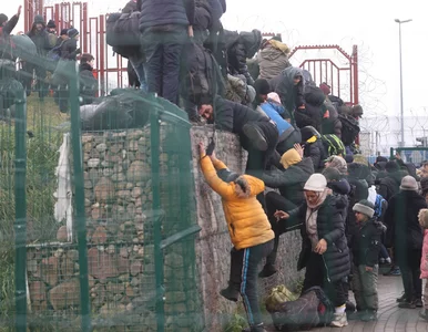 Miniatura: Syryjskie linie Cham Wings zawieszają loty...