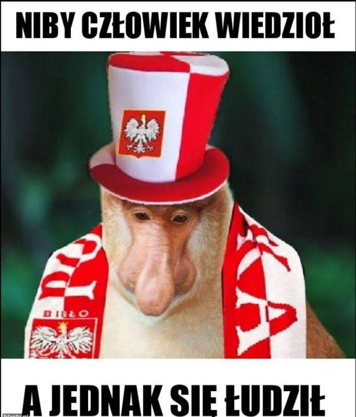 Memy po meczu Polska-Anglia 