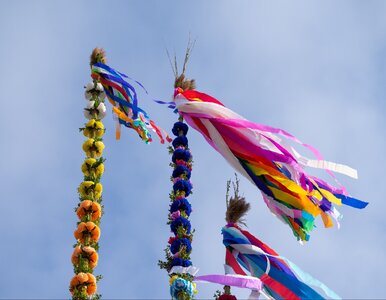 Miniatura: Filipińczycy, Kolumbijczycy, Ukraińcy. Jak...