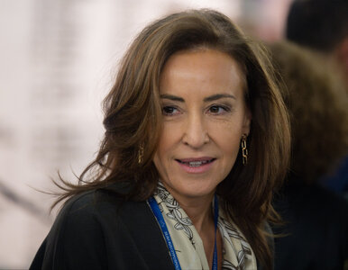 Miniatura: Program Wysockiej-Schnepf pod lupą....